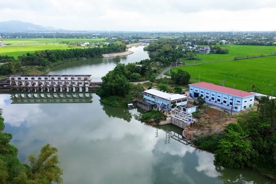 Quảng Nam nỗ lực bảo vệ rừng - bảo vệ nguồn nước