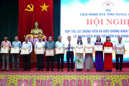 Kinh tế tập thể ở Quảng Nam và bước tiến đều về chất lượng