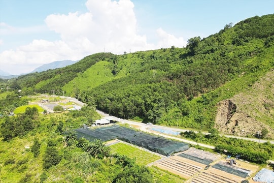 Cử tri Nam Trà My đề nghị hỗ trợ phát triển vùng dược liệu