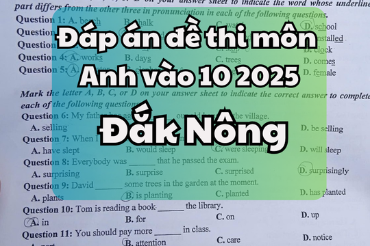 Đáp án đề thi tuyển sinh lớp 10 môn Tiếng Anh tỉnh Đắk Nông 2025