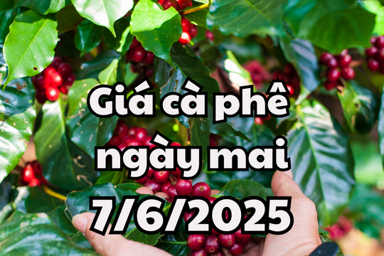 Tin tức, dự báo giá cà phê ngày mai 7/6/2025 tiếp đà tăng mạnh cả trong lẫn ngoài nước