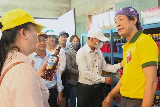 Tham quan mô hình nông thôn mới tại Hội An