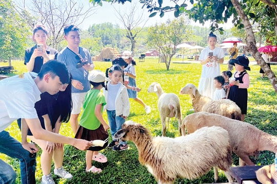 Chờ chính sách hỗ trợ mô hình du lịch nông trại