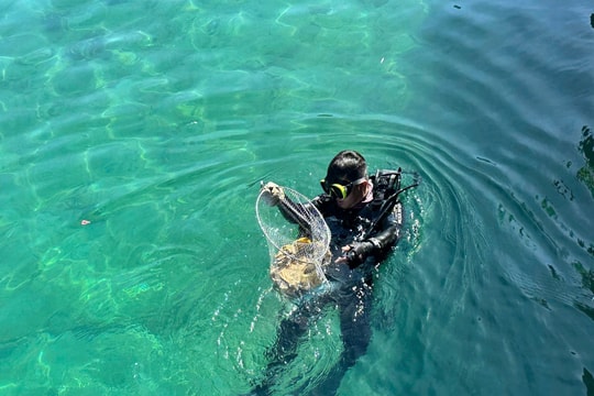 Cham Islands: Free of plastic waste