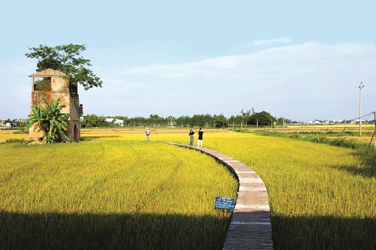 Du lịch xanh: Khi tâm huyết kiến tạo tương lai