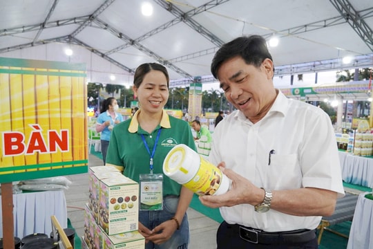Quảng Nam triển khai hiệu quả các chương trình chuyên đề nông thôn mới