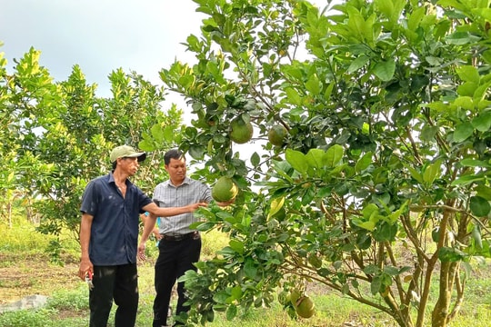 Khởi sắc nông thôn mới Quế Phong