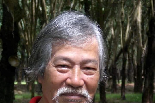 Tìm về vườn tượng ở thác An Viễn của Trương Đình Quế