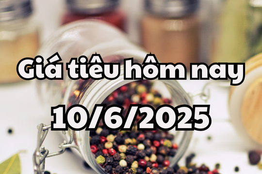 Giá tiêu hôm nay 10/6/2025 bình ổn ở trong nước và thế giới
