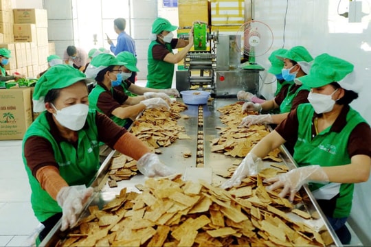 Quảng Nam hỗ trợ gần 16 tỷ đồng thực hiện Chương trình OCOP năm 2025