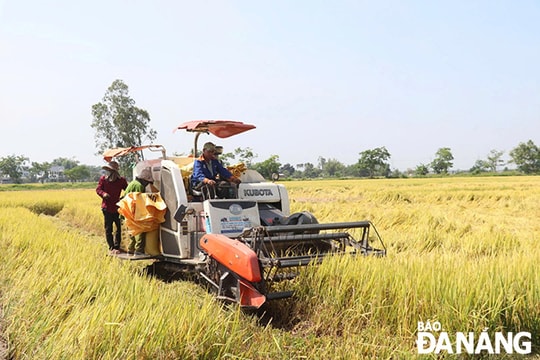 "Ngôi sao" của khu vực kinh tế tập thể, hợp tác xã