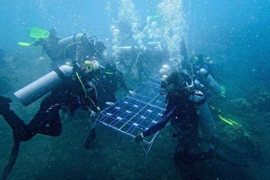 Trải nghiệm du lịch "đáp ơn biển cả"