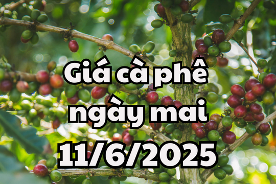 Tin tức, dự báo giá cà phê ngày 11/6/2025 tiếp đà tăng giá
