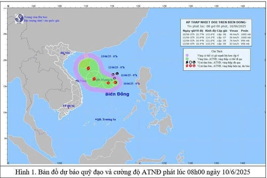 Vùng áp thấp đã mạnh lên thành áp thấp nhiệt đới, khả năng mạnh lên thành bão