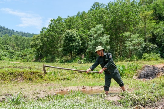 Ông Trung "trả nợ" rừng xanh