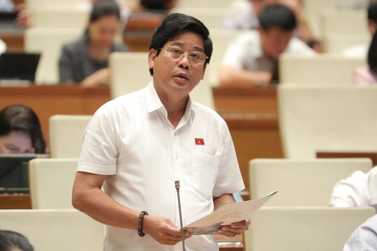 Đại biểu Quốc hội tỉnh Quảng Nam góp ý sửa đổi Luật Xử lý vi phạm hành chính