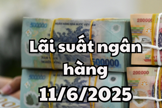 Lãi suất ngân hàng hôm nay 11/6/2025: HDBANK và VIKKI BANK đứng top lãi suất cao nhất