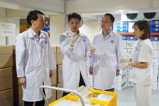 First batch of made-in Viet Nam African swine fever vaccine shipped to Indonesia