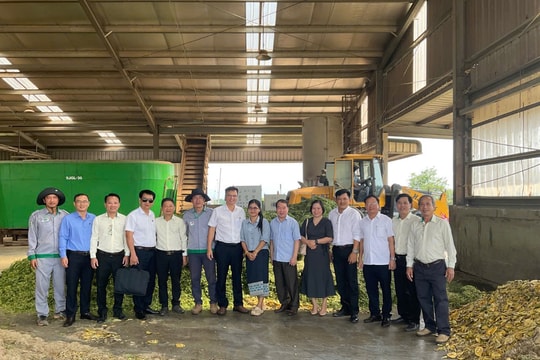 Khi người lao động “hướng ngoại”: Trên những nông trường ở Attapeu