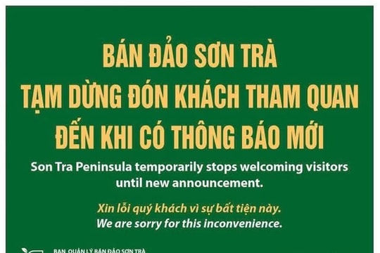 Tạm dừng hoạt động tham quan tại bán đảo Sơn Trà
