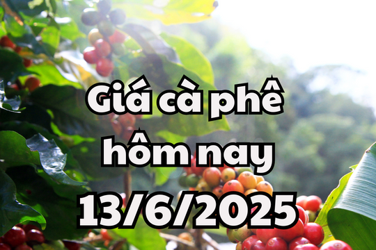 Giá cà phê hôm nay 13/6/2025 chuỗi giảm chuẩn bị chấm dứt