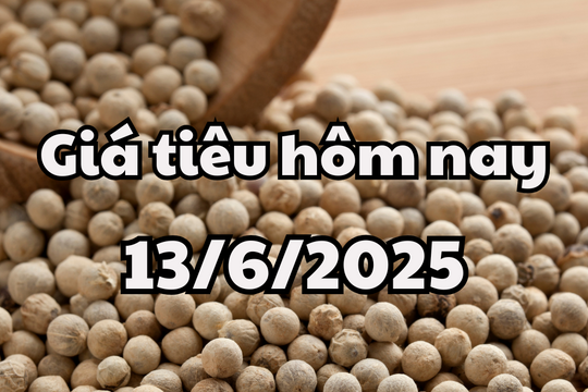 Giá tiêu hôm nay 13/6/2025 bình ổn lại ở trong nước