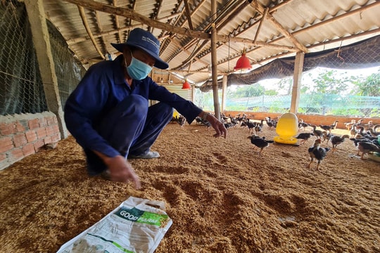 Ngành chăn nuôi ở Quảng Nam phát triển theo hướng an toàn thực phẩm