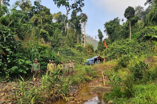 Chính sách chi trả dịch vụ môi trường rừng: Bảo vệ nghiêm ngặt Vườn Quốc gia Sông Thanh