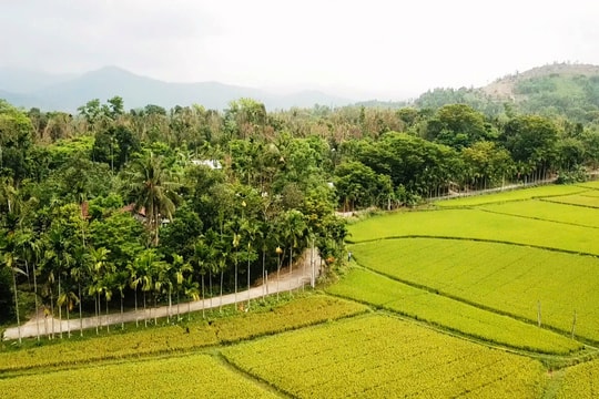 “Chi bằng học” từ Phong trào Duy tân