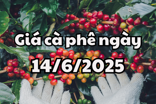 Tin tức, dự báo giá cà phê ngày mai 14/6/2025 có thêm đỉnh mới