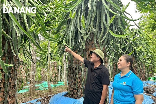 Vận động nông dân phát triển các mô hình kinh tế hiệu quả