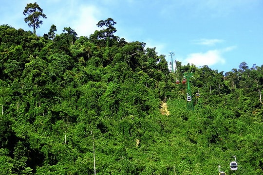 Quan tâm công tác bảo tồn đa dạng sinh học