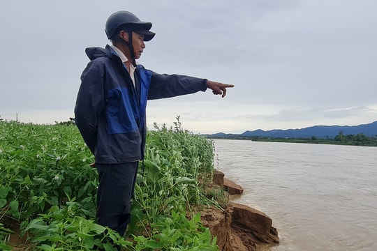 Bờ sông Quảng Huế sạt lở nghiêm trọng sau mưa lũ