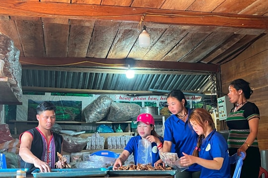 Tây Giang phát triển sản phẩm OCOP từ thế mạnh dược liệu