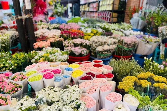 Shop Hoa Tươi Đẹp: Lựa chọn hoàn hảo cho mọi sự kiện và dịp đặc biệt
