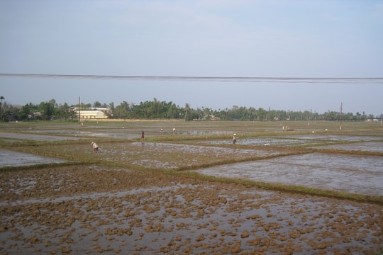 Núi Thành xử lý chất thải nguy hại trên đồng ruộng