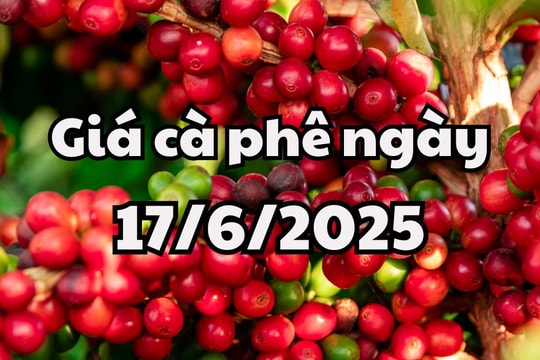 Tin tức, dự báo giá cà phê ngày mai 17/6/2025 sức mua chưa hồi phục
