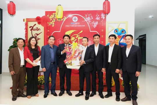 Đảng bộ Công ty Điện lực Quảng Nam: Mọi thành công từ sự đoàn kết