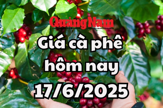 Giá cà phê hôm nay 17/6/2025 mới nhất: Vẫn giữ được mốc 110,000 đồng/kg