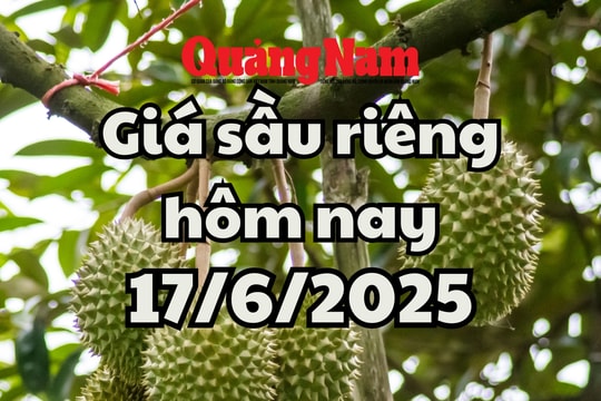 Giá sầu riêng hôm nay 17/6/2025: Sầu Musang King và Thái tăng giá