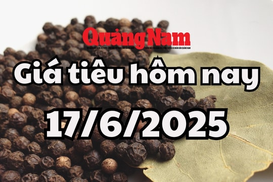 Giá tiêu hôm nay 17/6/2025 mới nhất: Đồng loạt giảm mạnh ở trong nước