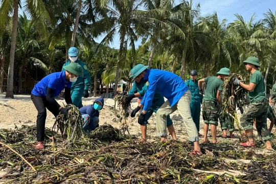 Cù Lao Chàm thu dọn rác thải sau bão số 1