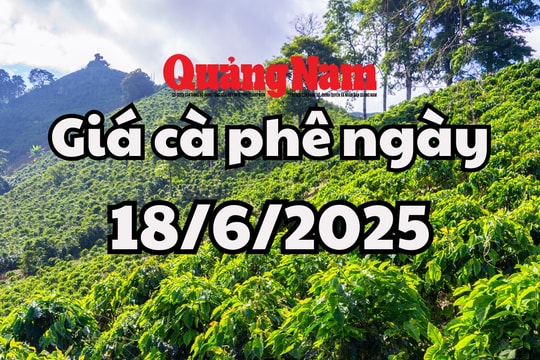 Tin tức, dự báo giá cà phê ngày mai 18/6/2025 chờ đợi đợt hồi phục