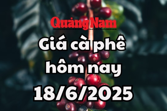 Cập nhật giá cà phê hôm nay 18/6/2025 mới nhất: Chuỗi giảm kéo dài