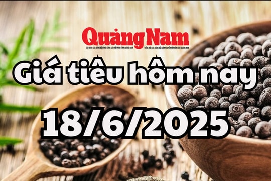 Cập nhật giá tiêu hôm nay 18/6/2025 mới nhất: Đà giảm yếu đi