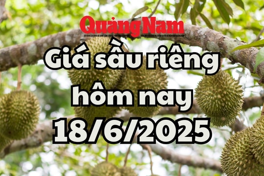Giá sầu riêng hôm nay 18/6/2025: Sầu Ri6 miền Đông tăng, sầu Thái miền Tây giảm
