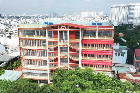 Tập đoàn GDQT Nam Việt: Hành trình tiên phong xây dựng hệ sinh thái giáo dục tư thục chuẩn quốc tế