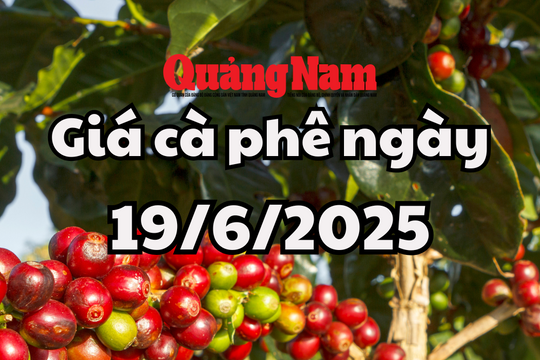 Tin tức, dự báo giá cà phê ngày mai 19/6/2025 chưa có dấu hiệu dừng lại