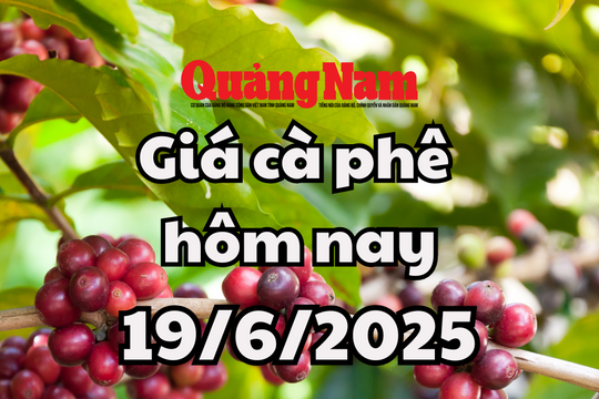 Cập nhật giá cà phê hôm nay 19/6/2025 mới nhất: Đợt giảm mạnh nhất từ đầu tuần