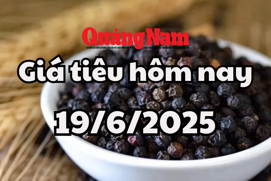 Cập nhật giá tiêu hôm nay 19/6/2025 mới nhất: Giá tiêu trong nước đỏ lửa